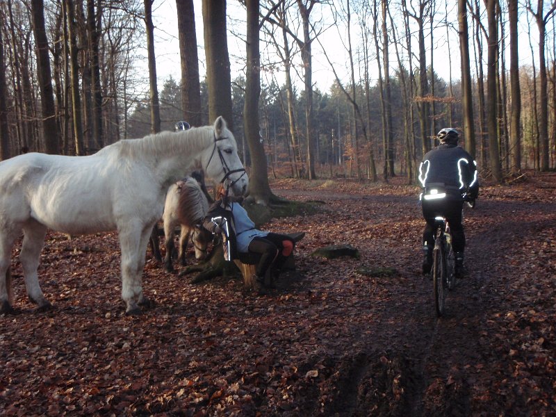 CTF-Kattendorf Helmut 077